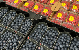 水果消费新风向，呱果鲜丰邀您共赴财富盛宴